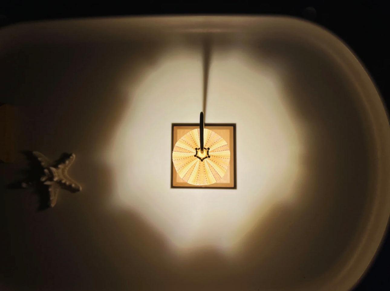high angle shot of sea urchin table lamp
