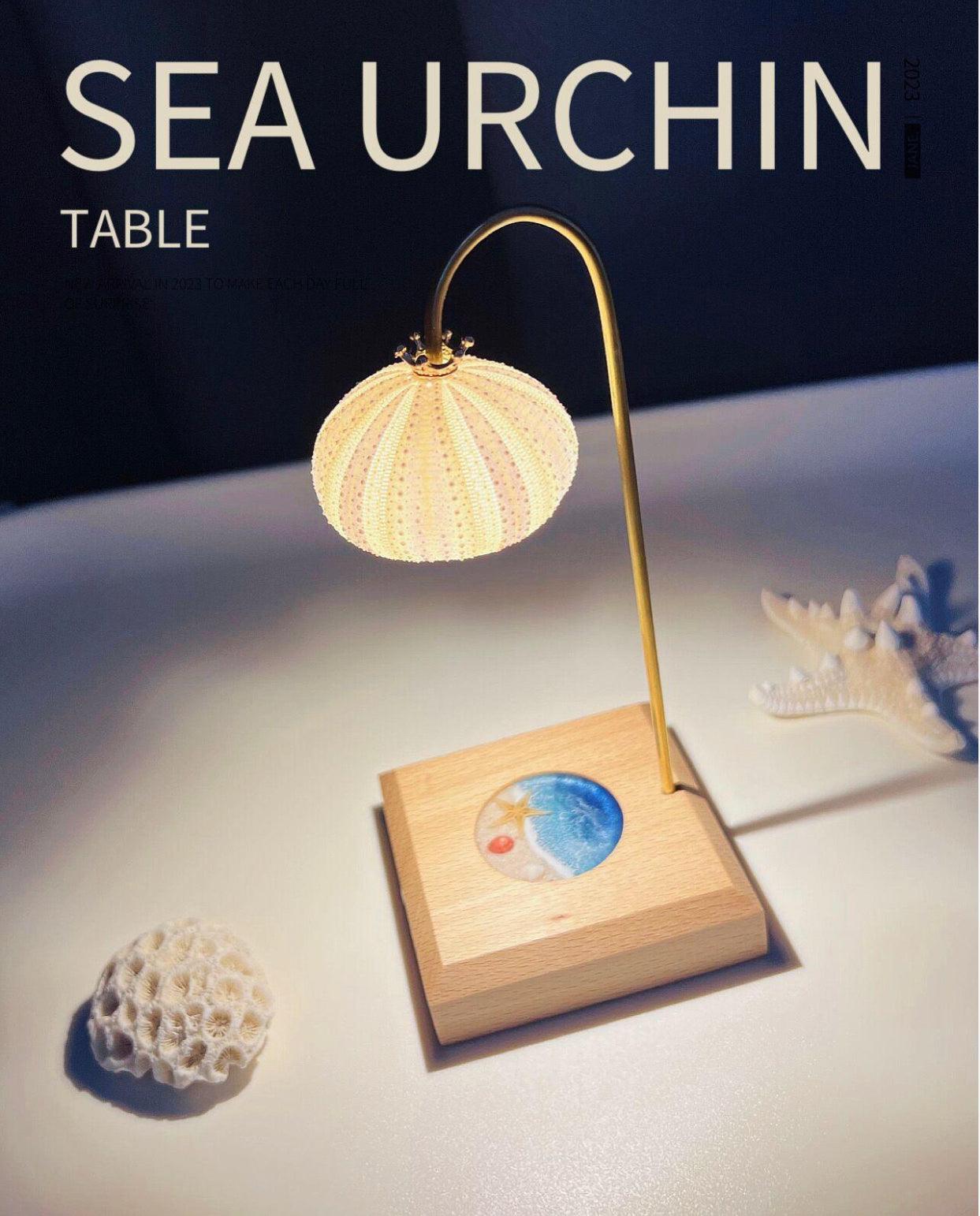 Sea Urchin table lamp, desk lamp